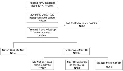 Screening and surveillance of esophageal cancer by magnifying endoscopy with narrow band imaging improves the survival of hypopharyngeal cancer patients